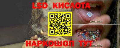 apvp Нальчик