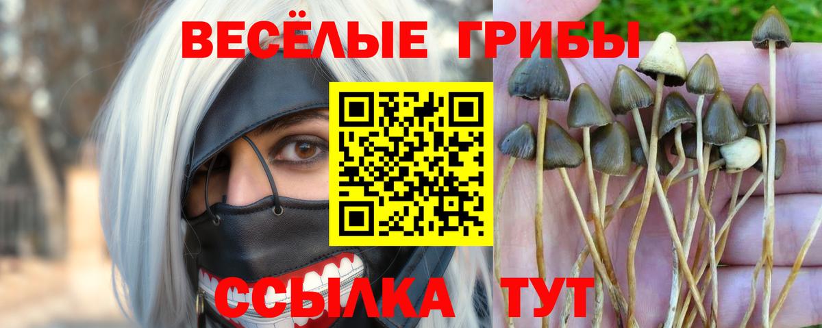 Галлюциногенные грибы Magic Shrooms Тихвин