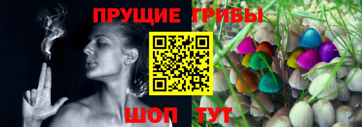 Галлюциногенные грибы Magic Shrooms  Вход с VPN  Псилоцибиновые грибы Magic Shrooms  Тихвин 